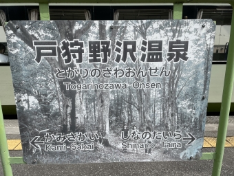 長野駅から十日町駅:鉄道乗車記録の写真