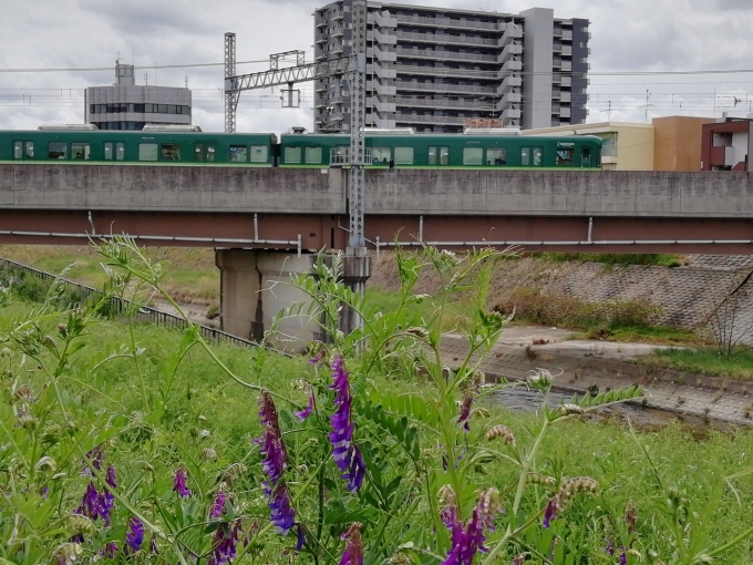 鉄道乗車記録の写真(1)     「天野川を渡る交野線車両」