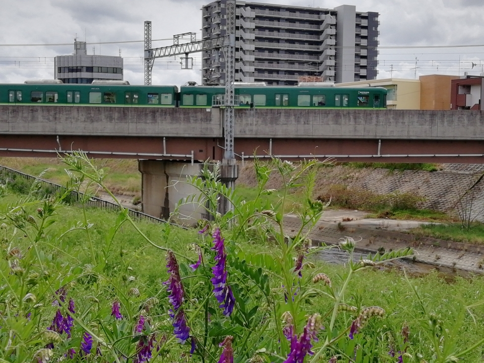 鉄道乗車記録「枚方市駅から京橋駅」の写真(1) by まいAMI西 撮影日時:2022年04月18日