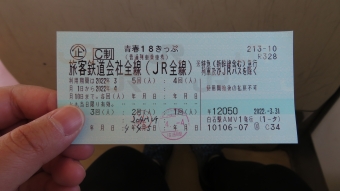 伊那八幡駅から天竜峡駅の乗車記録(乗りつぶし)写真