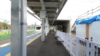 倶知安駅から小樽駅の乗車記録(乗りつぶし)写真