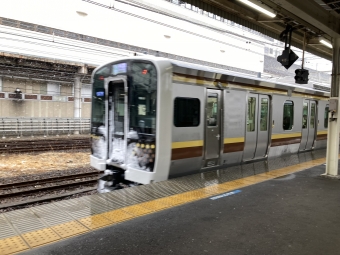 辻堂駅から宇都宮駅の乗車記録(乗りつぶし)写真