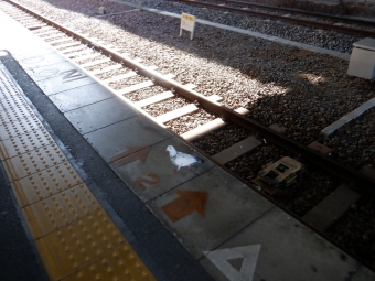 高田駅から香芝駅:鉄道乗車記録の写真