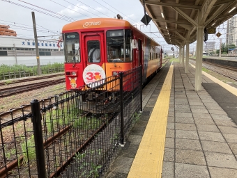 岐阜駅から本巣駅の乗車記録(乗りつぶし)写真
