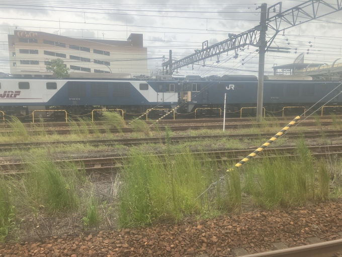 鉄道乗車記録の写真:列車・車両の様子(未乗車)(2)        「EF64-1018(左)とEF64-1021(右)です」