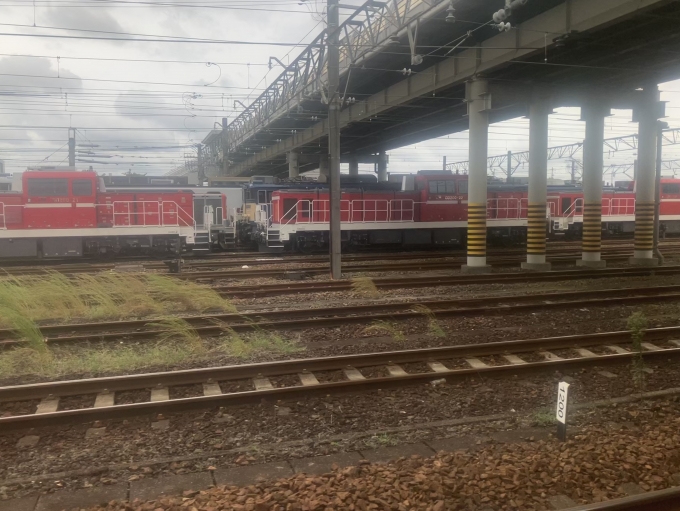 鉄道乗車記録の写真:列車・車両の様子(未乗車)(4)        「DD200-22です」