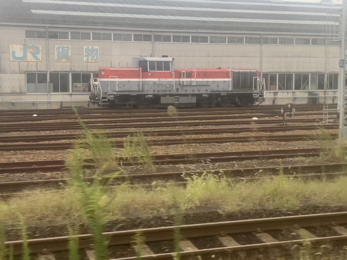 鉄道乗車記録の写真:列車・車両の様子(未乗車)(5)        「DE10-1557です」