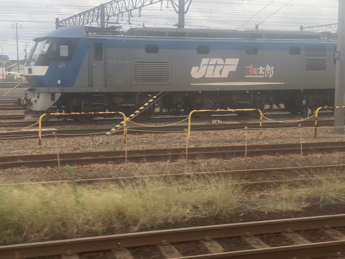 鉄道乗車記録の写真:列車・車両の様子(未乗車)(6)        「EF210-145です」