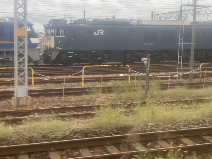 鉄道乗車記録の写真:列車・車両の様子(未乗車)(7)        「EF210-345(左)とEF64-1042(右)です」