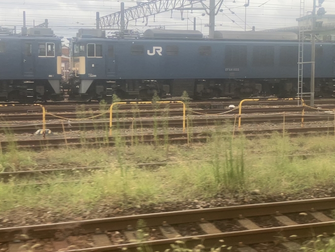 鉄道乗車記録の写真:列車・車両の様子(未乗車)(8)        「EF64-1022です」