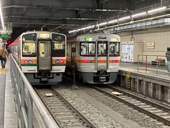 豊橋駅から新鵜沼駅の乗車記録(乗りつぶし)写真