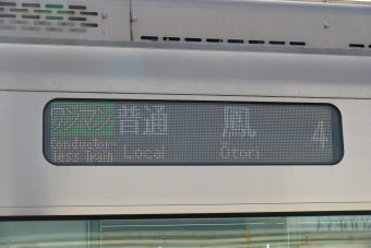 東羽衣駅から鳳駅の乗車記録(乗りつぶし)写真