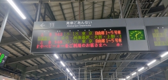 新潟駅から大宮駅の乗車記録(乗りつぶし)写真