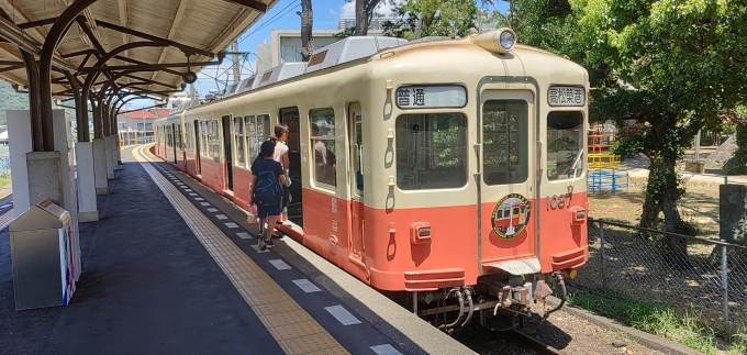 鉄道乗車記録の写真:乗車した列車(外観)(4)        