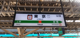 東京駅から伊豆高原駅の乗車記録(乗りつぶし)写真