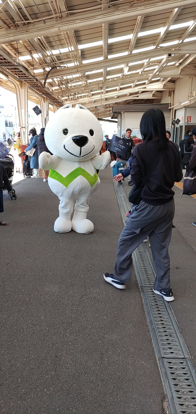 鉄道乗車記録の写真:駅舎・駅施設、様子(9)        