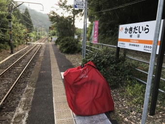 柿平駅から豊橋駅の乗車記録(乗りつぶし)写真