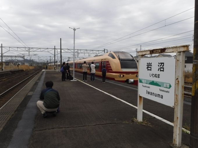 鉄道乗車記録の写真:列車・車両の様子(未乗車)(3)        「水戸から宮城福島花めぐり号入線」