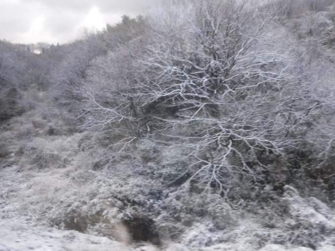 鉄道乗車記録の写真:車窓・風景(2)        「桜の季節に積雪」