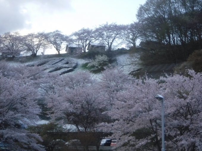 鉄道乗車記録の写真:車窓・風景(3)        「三春駅も桜と積雪」