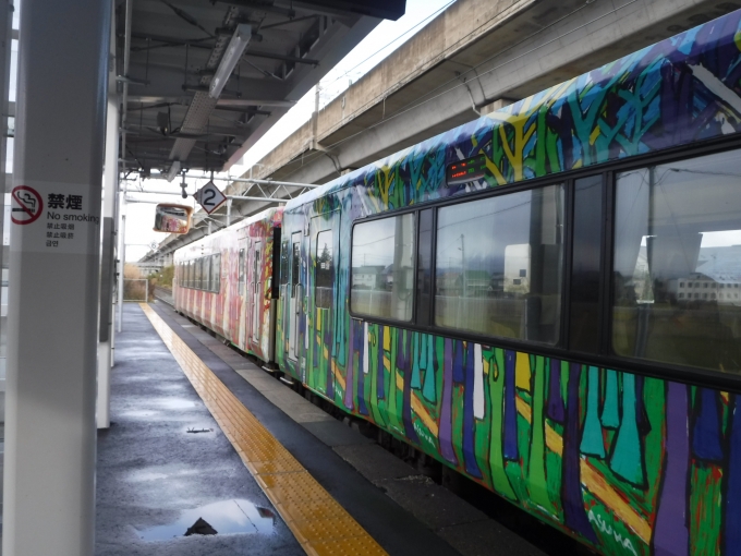 鉄道乗車記録の写真:乗車した列車(外観)(3)        「ヘラルボニー塗色　前2両」