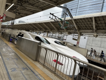 東京駅から新富士駅の乗車記録(乗りつぶし)写真