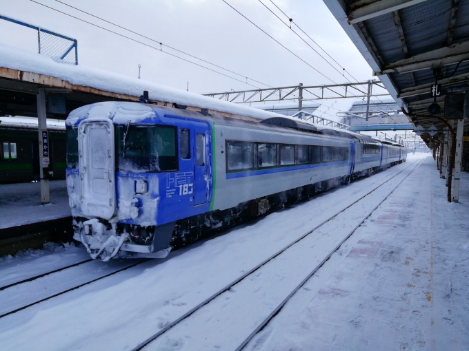 鉄道乗車記録の写真:列車・車両の様子(未乗車)(5)     「特急オホーツク」