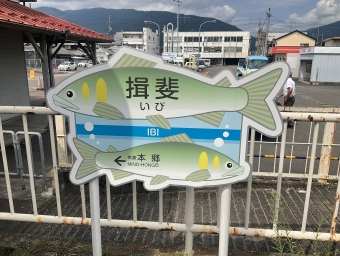 大垣駅から揖斐駅の乗車記録(乗りつぶし)写真