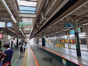 湘南江の島駅から大船駅の乗車記録(乗りつぶし)写真