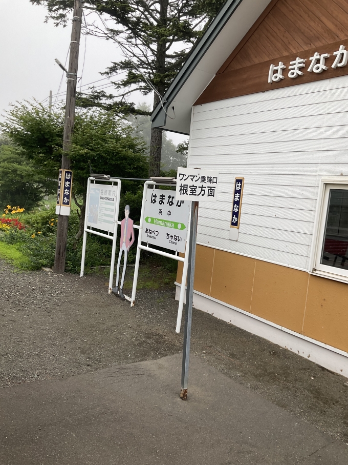 鉄道乗車記録の写真:駅名看板(8)        