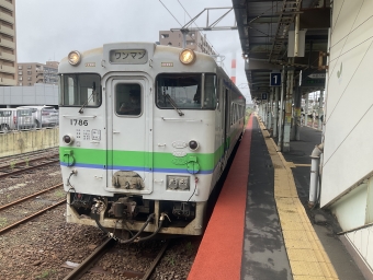 苫小牧駅から鵡川駅の乗車記録(乗りつぶし)写真