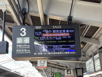 新今宮駅から堺駅の乗車記録(乗りつぶし)写真