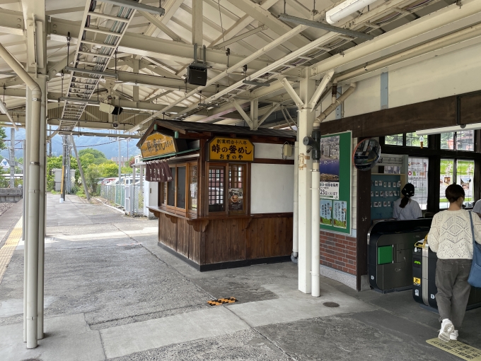 鉄道乗車記録の写真:駅舎・駅施設、様子(2)        「おぎのやの売店」