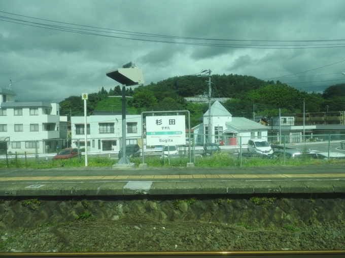 鉄道乗車記録の写真:駅名看板(2)        「杉田 過ぎた⭐︎」