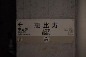恵比寿駅から霞ケ関駅の乗車記録(乗りつぶし)写真