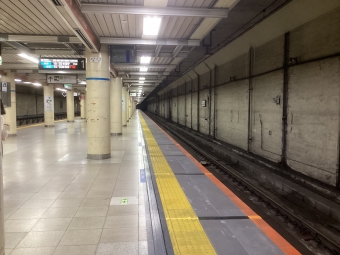 新日本橋駅から武蔵小杉駅の乗車記録(乗りつぶし)写真