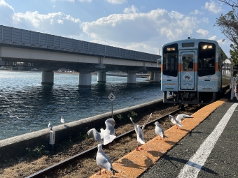 天竜二俣駅から浜名湖佐久米駅の乗車記録(乗りつぶし)写真