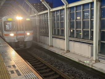 岐阜駅から大垣駅の乗車記録(乗りつぶし)写真