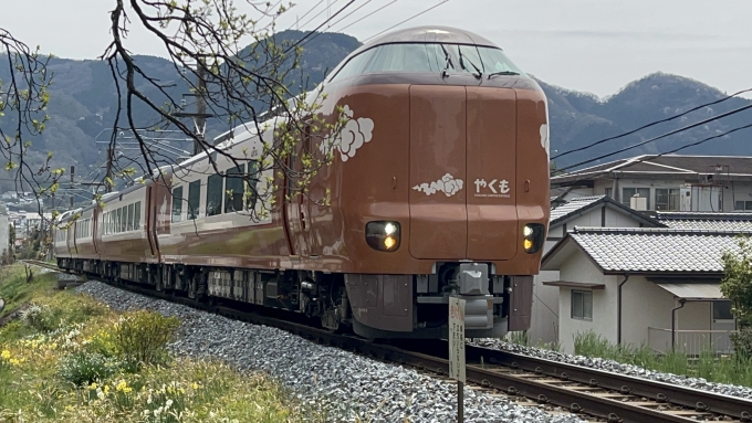 鉄道乗車記録の写真:列車・車両の様子(未乗車)(3)        「特急やくも11号」