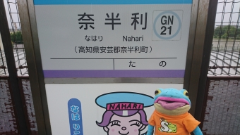 奈半利駅から安芸駅の乗車記録(乗りつぶし)写真