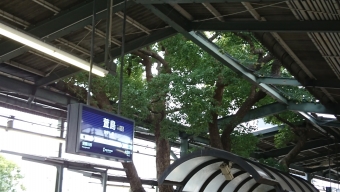 牧野駅から萱島駅の乗車記録(乗りつぶし)写真