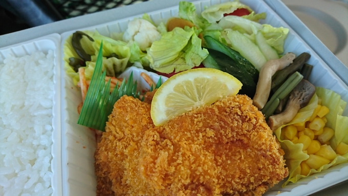 鉄道乗車記録の写真:駅弁・グルメ(1)          「高原野菜とカツの弁当」