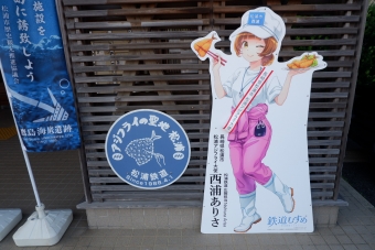 たびら平戸口駅から松浦駅の乗車記録(乗りつぶし)写真