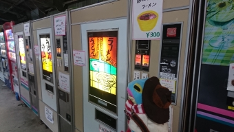 桐生駅から花輪駅の乗車記録(乗りつぶし)写真