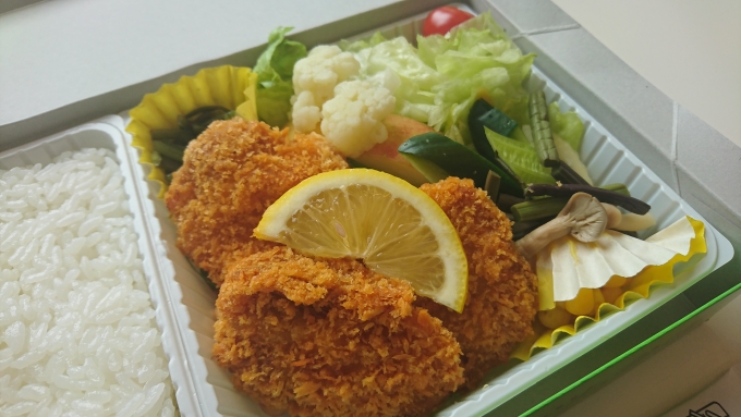 鉄道乗車記録の写真:駅弁・グルメ(1)          「高原野菜とカツの弁当」