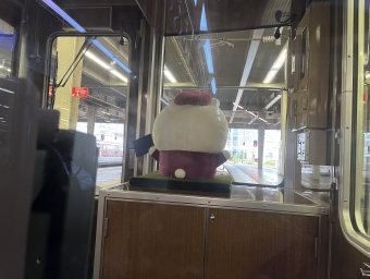 大阪梅田駅から雲雀丘花屋敷駅の乗車記録(乗りつぶし)写真