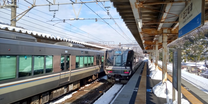 鉄道乗車記録の写真:乗車した列車(外観)(2)     「新快速　敦賀行」