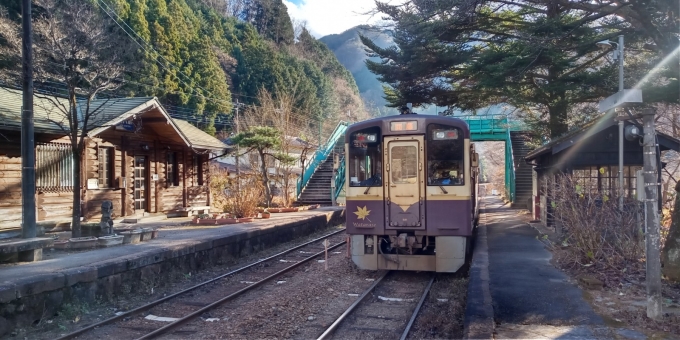 鉄道乗車記録の写真:乗車した列車(外観)(4)        「渡良瀬渓谷鉄道」