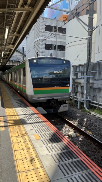 茅ケ崎駅から根府川駅の乗車記録(乗りつぶし)写真