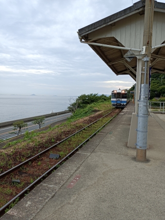 下灘駅から伊予長浜駅の乗車記録(乗りつぶし)写真